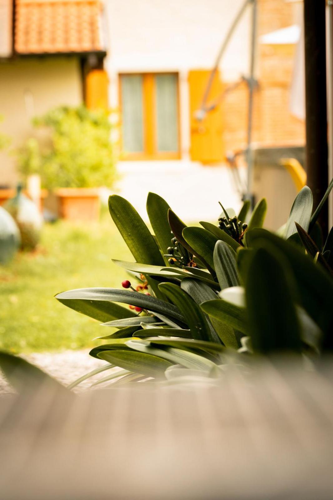 Agriturismo Podere Nigriano Salò Dış mekan fotoğraf
