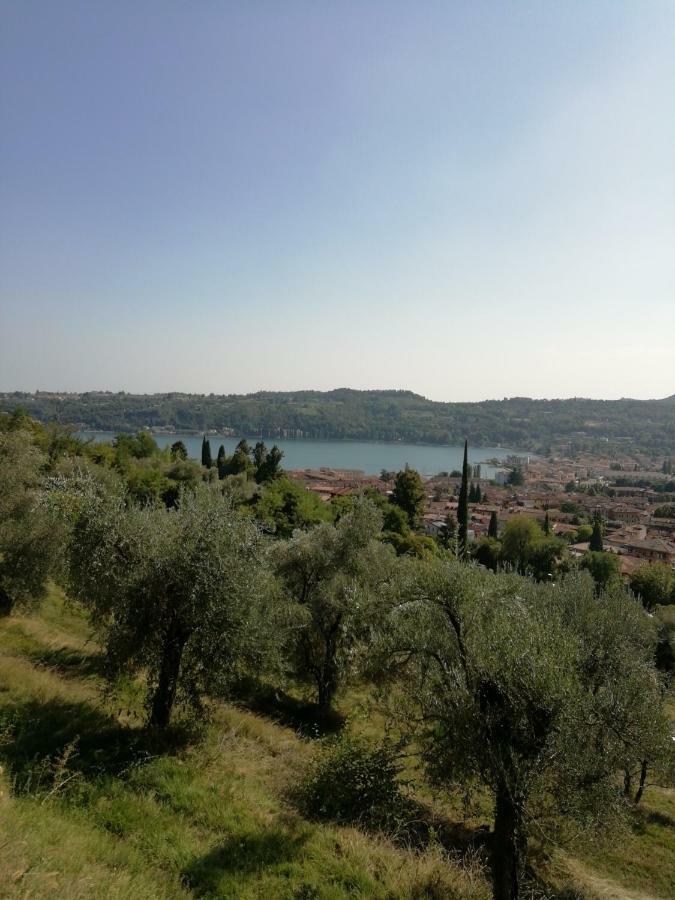 Agriturismo Podere Nigriano Salò Dış mekan fotoğraf